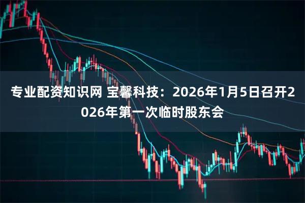 专业配资知识网 宝馨科技：2026年1月5日召开2026年第一次临时股东会